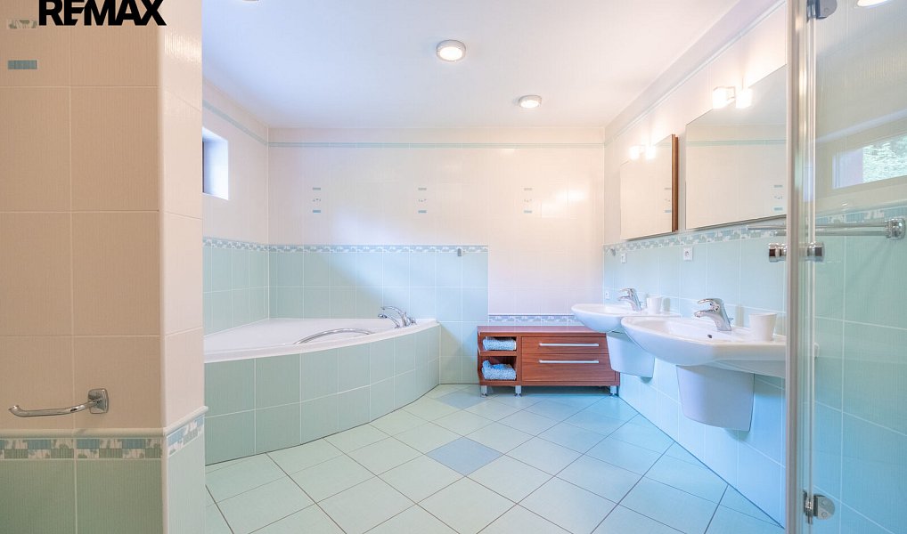 Prodej domu 325 m² s pozemkem 7 262 m², Děpoltovice – náhled fotky 17