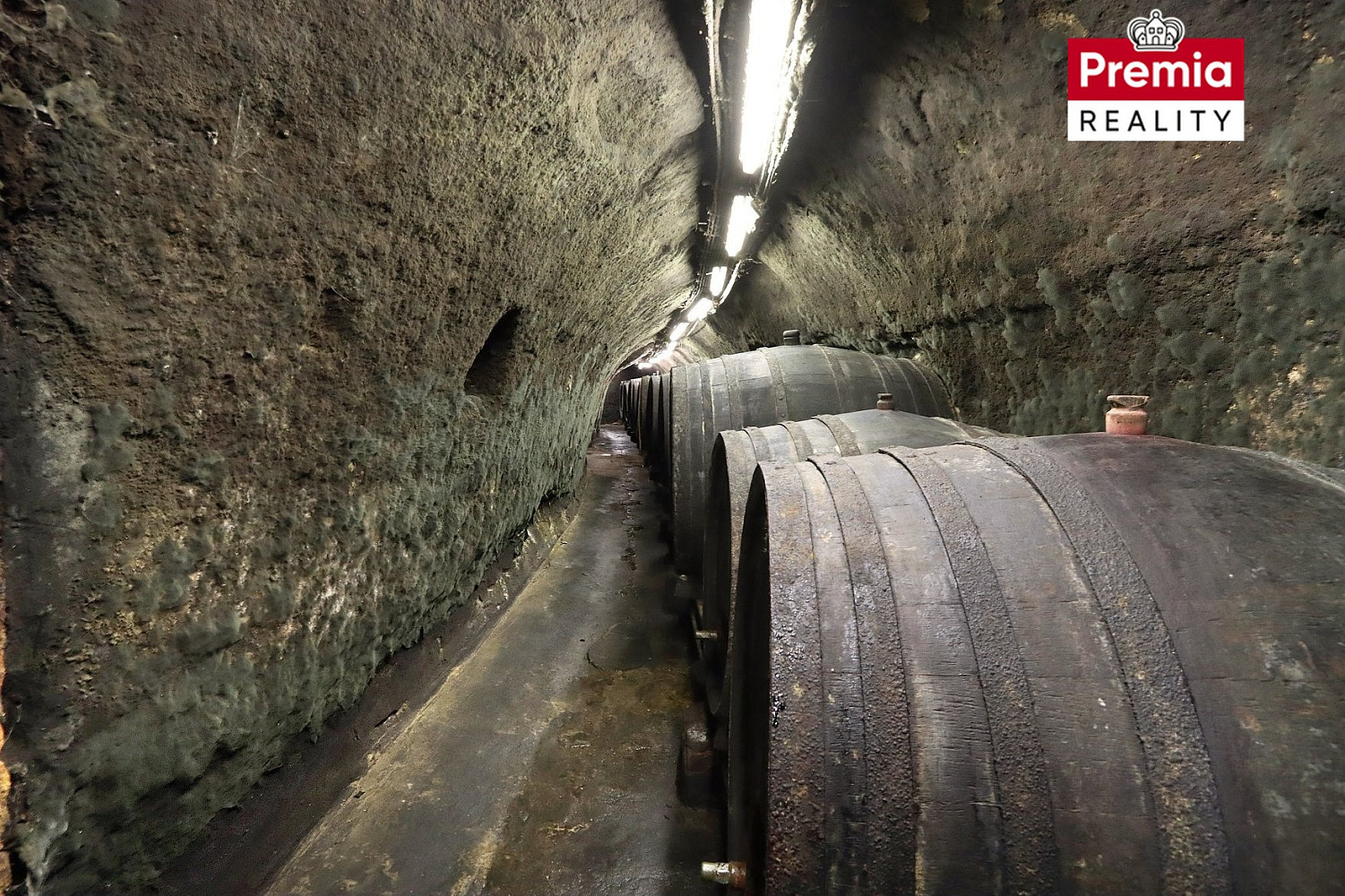Vinařský areál modrý sklep na prodej — photo 2