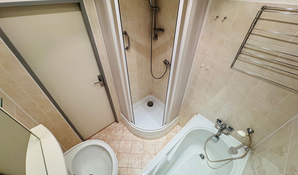 Prodej bytu 4+1 95 m², Praha – náhled fotky 11