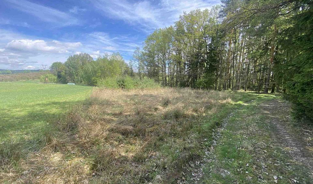 Prodej pole 5 875 m², Malovice – náhled fotky 3