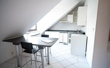 Pronájem bytu 1+kk 56 m²