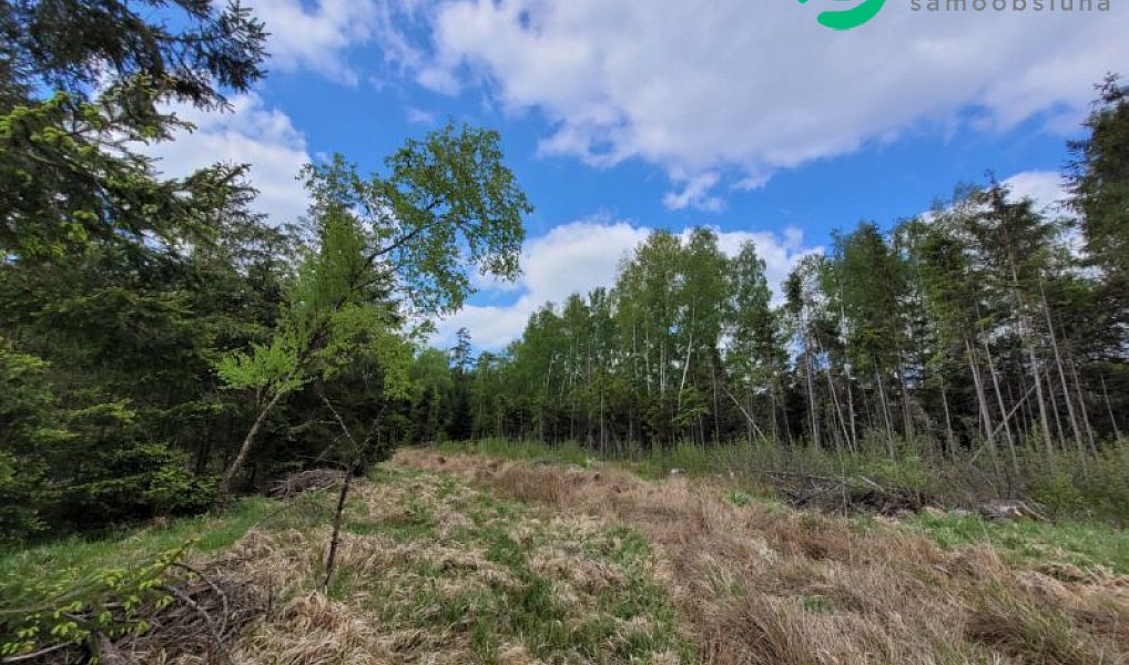 Prodej lesa 72 939 m², Počátky – náhled fotky 3