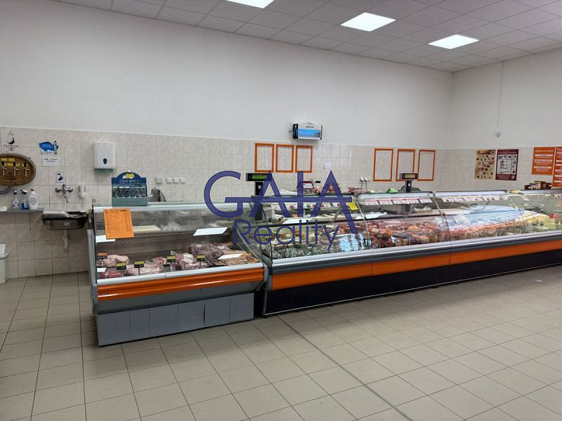 Prodej obchodních prostor 600 m² – fotografie 4