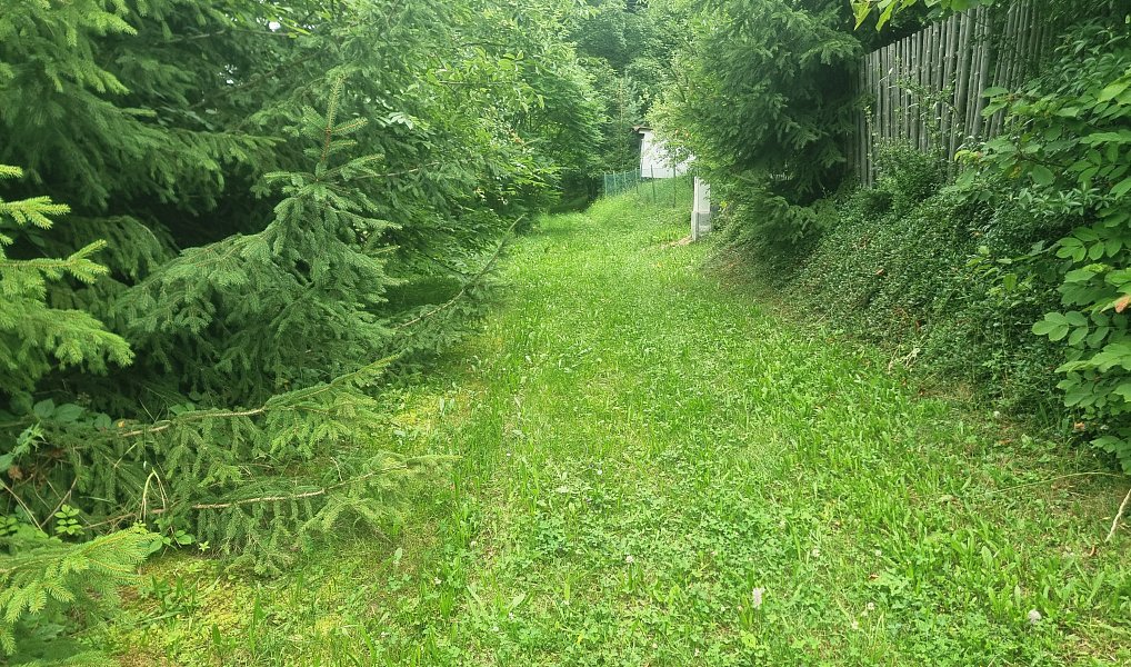 Prodej chaty/chalupy 78 m², Kamenná Horka – náhled fotky 2