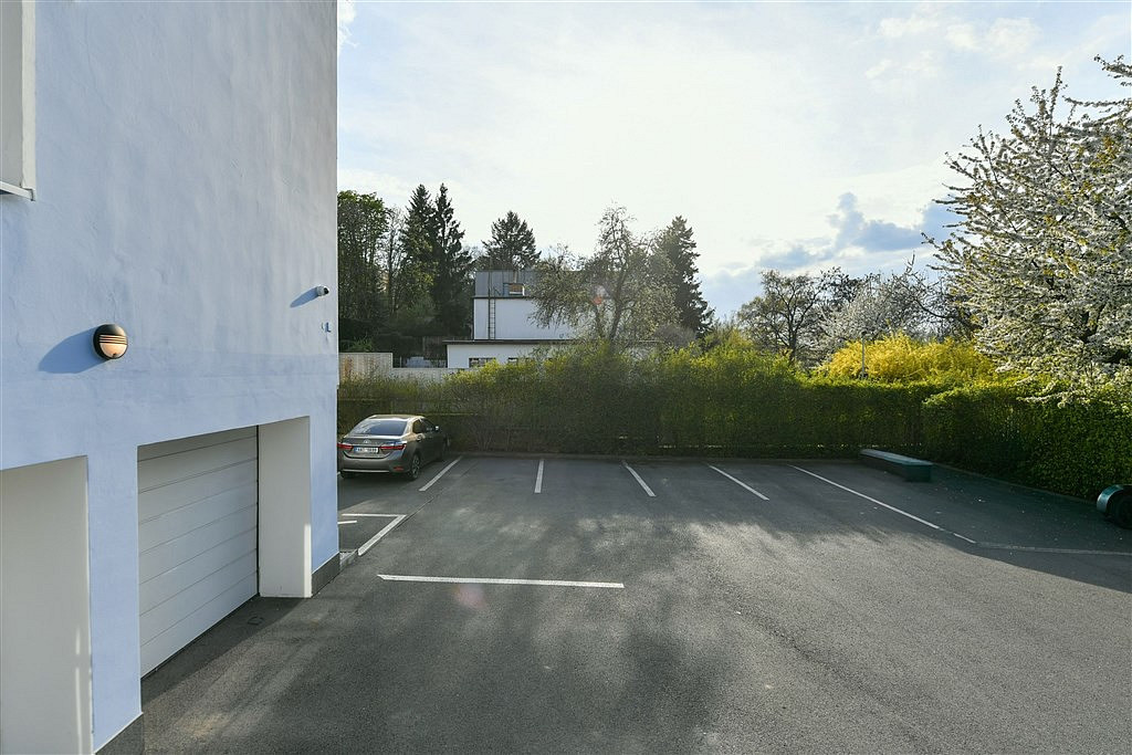 Pronájem obchodních prostor 700 m² — photo 3