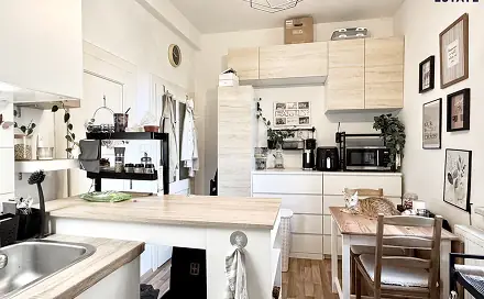 Pronájem bytu 1+1 39 m², Merhautova, Brno - Černá Pole