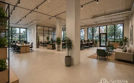 Pronájem obchodních prostor 350 m², Boženy Němcové, Sokolov