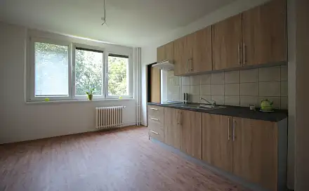 Pronájem bytu 1+1 45 m², Plzeňská, Ostrava - Zábřeh
