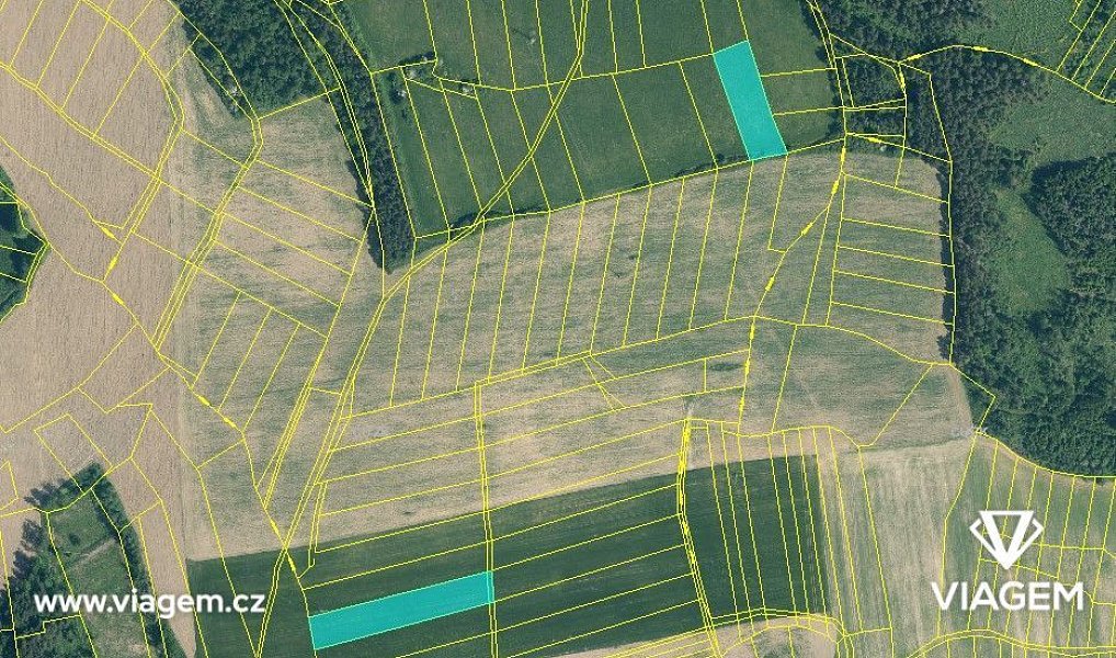 Prodej pole 4 247 m², Nekvasovy – náhled fotky 3