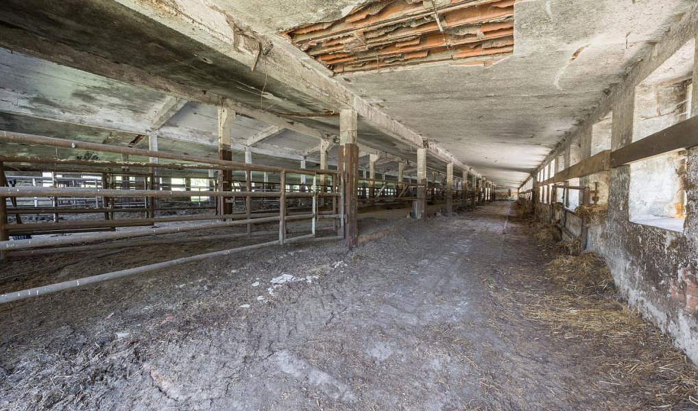 Pronájem zemědělského objektu 1 400 m², Korouhev – náhled fotky 8