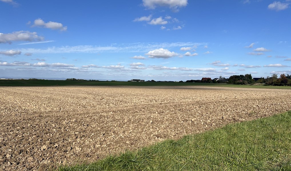 Prodej stavebního pozemku 1 434 m², Doubek – náhled fotky 10