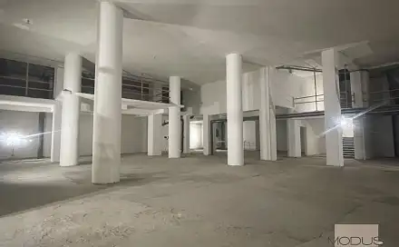 Pronájem obchodních prostor 1 000 m², Opletalova, Praha 1 - Nové Město