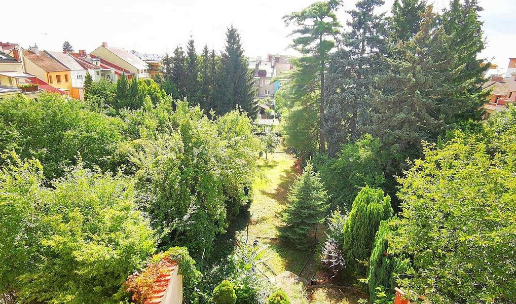 Prodej domu 252 m² s pozemkem 516 m², Brno – náhled fotky 3