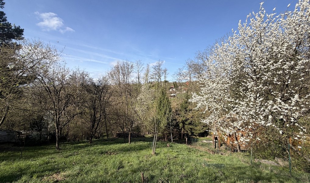 Prodej chaty/chalupy 25 m² s pozemkem 733 m², Uherský Brod – náhled fotky 10