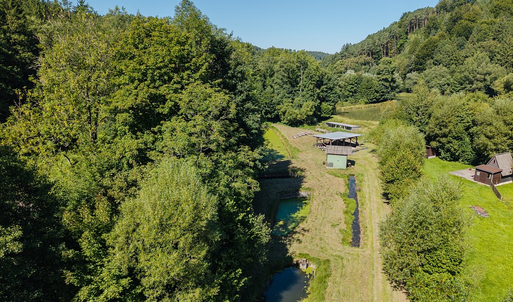 Pronájem vodní plochy 8 295 m², Nové Hrady – náhled fotky 4