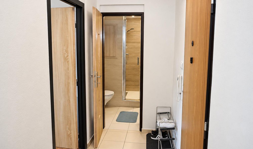 Pronájem bytu 2+1 45 m², Orlová – náhled fotky 12
