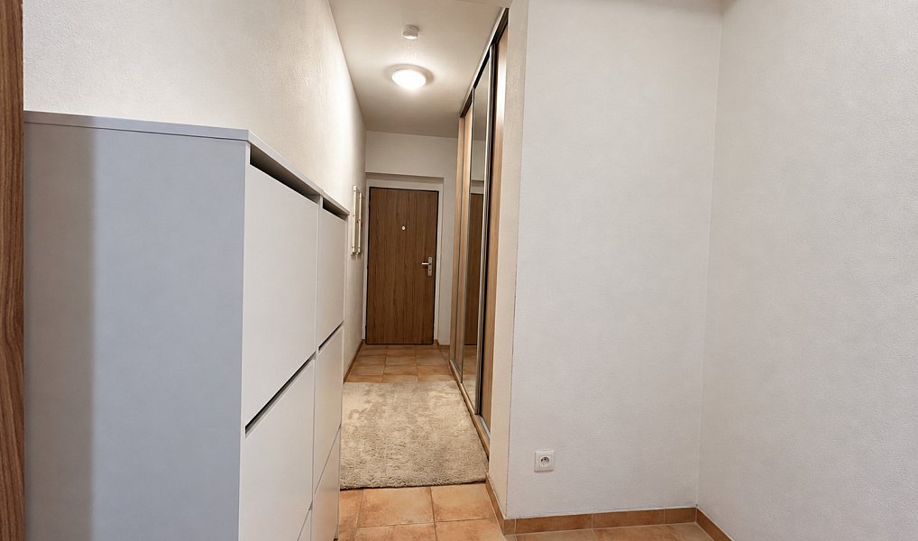 Pronájem bytu 2+kk 51 m², Plzeň – náhled fotky 11