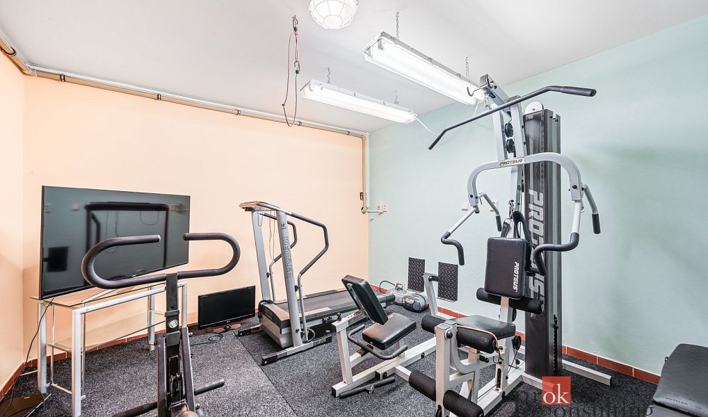 Prodej domu 322 m² s pozemkem 1 262 m², Plzeň – náhled fotky 40