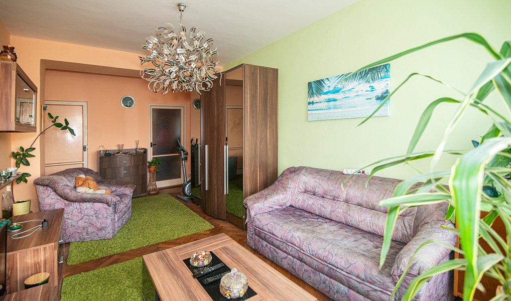 Prodej bytu 3+1 69 m², Modřice – náhled fotky 6