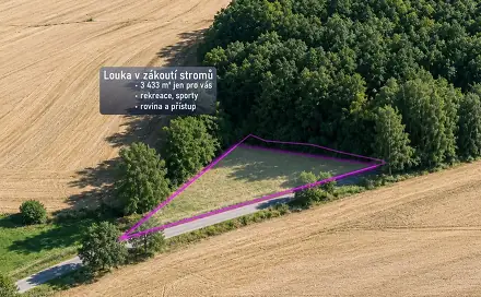 Prodej louky 3 433 m², Přívrat, okres Ústí nad Orlicí