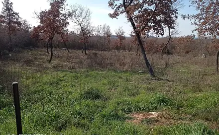 Prodej pole 1 728 m², Poreč, Istarska županija, Chorvatsko