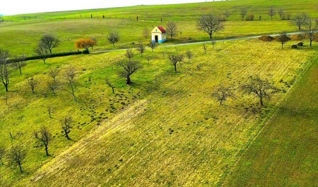 Prodej zahrady 2 399 m², Bořenovice – náhled fotky 3