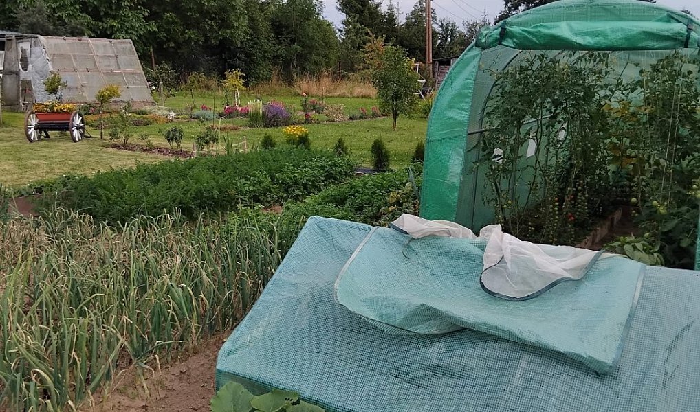 Prodej zahrady 350 m², Světlá Hora – náhled fotky 8