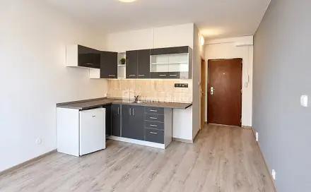Pronájem bytu 1+kk 19 m², Ladova, Ústí nad Labem - Severní Terasa