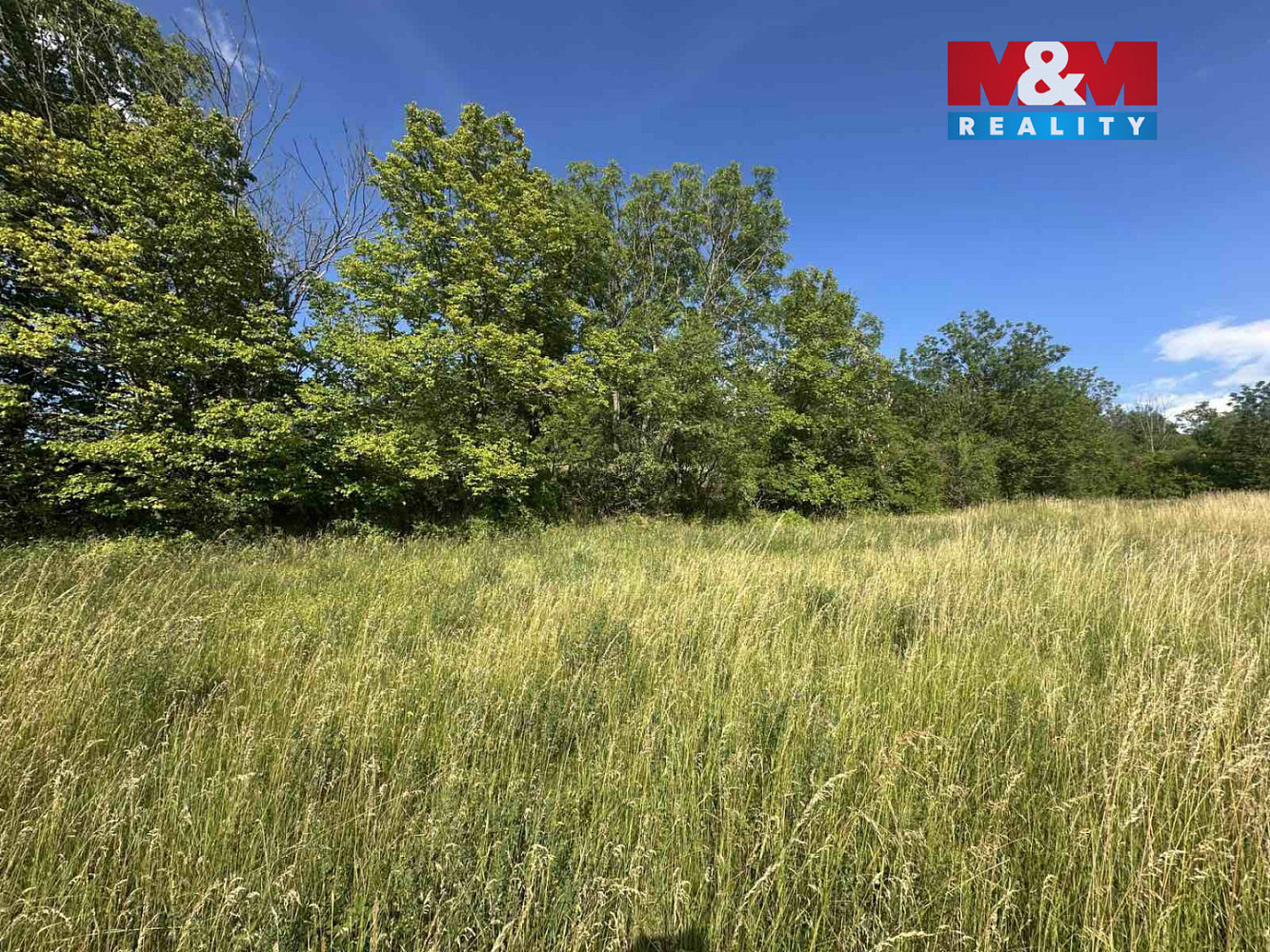 Prodej zahrady 625 m² – fotografie 5