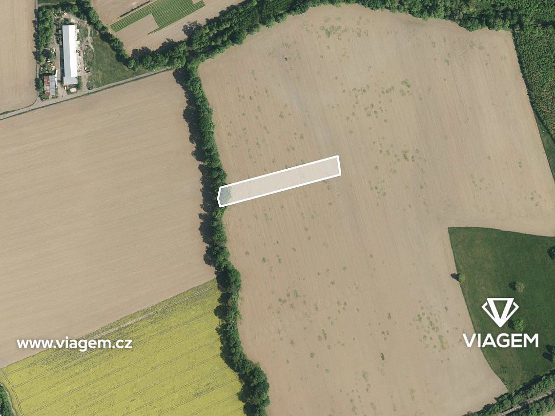 Pole 5 769 m², Podíl 42 % o výměře 2 404 m² – pohled 2