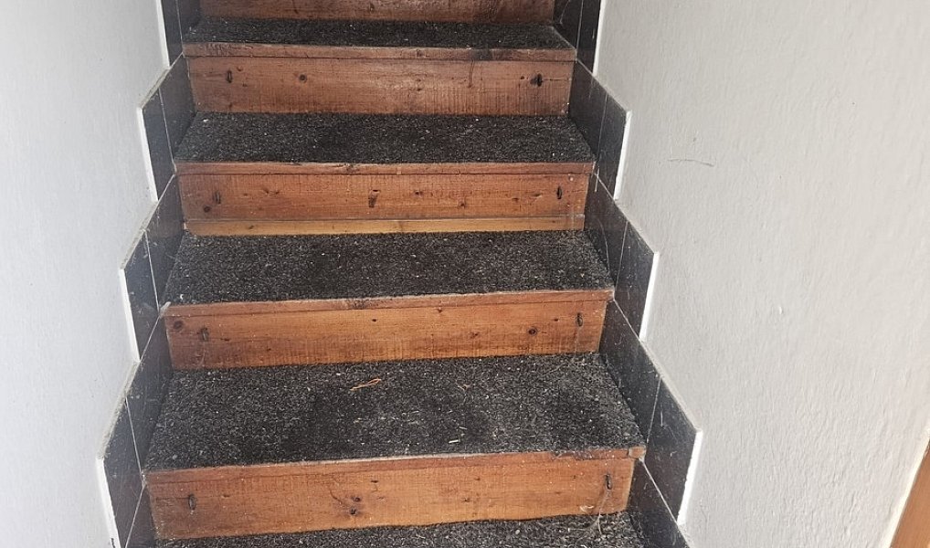 Prodej domu 120 m² s pozemkem 98 m², Chrastavice – náhled fotky 11