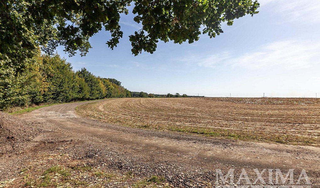 Prodej pole 3 636 m², Lhotky – náhled fotky 4