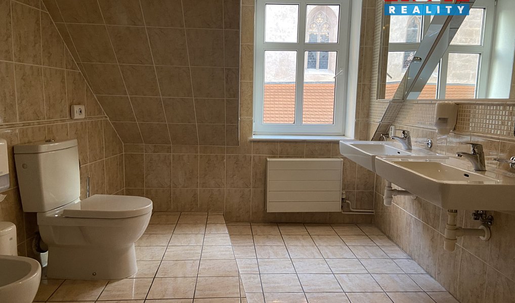 Pronájem bytu 4+kk 110 m², Plzeň – náhled fotky 20