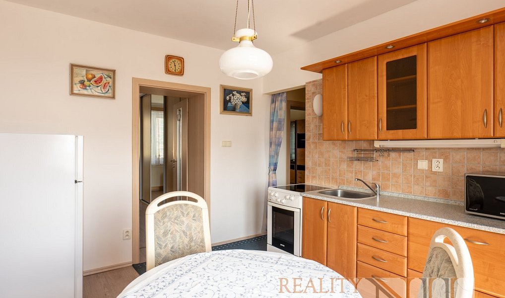 Prodej domu 225 m² s pozemkem 92 m², Plzeň – náhled fotky 9