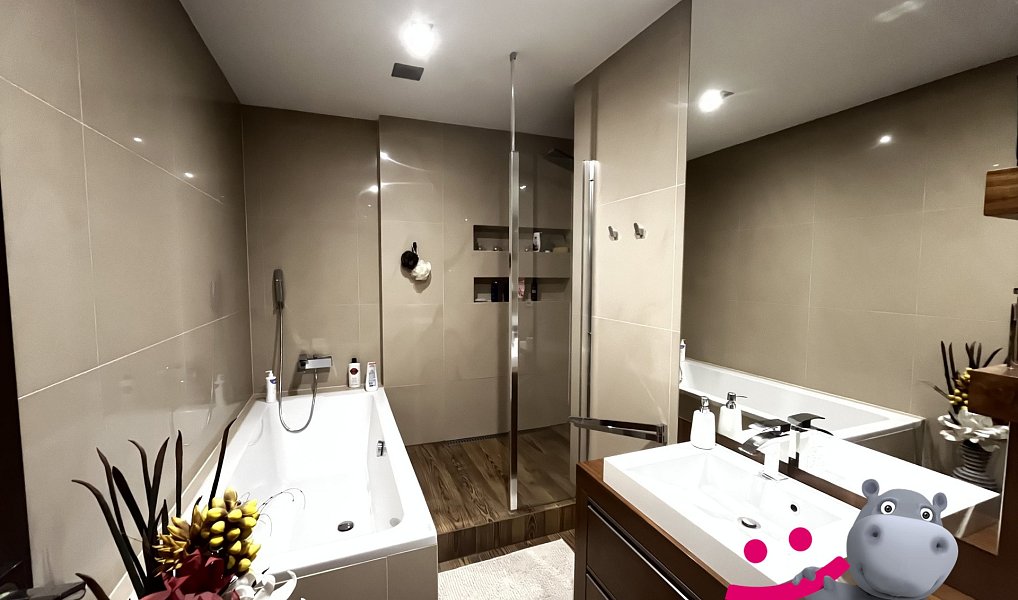 Prodej stavebního pozemku 7 610 m², Uhelná – náhled fotky 4