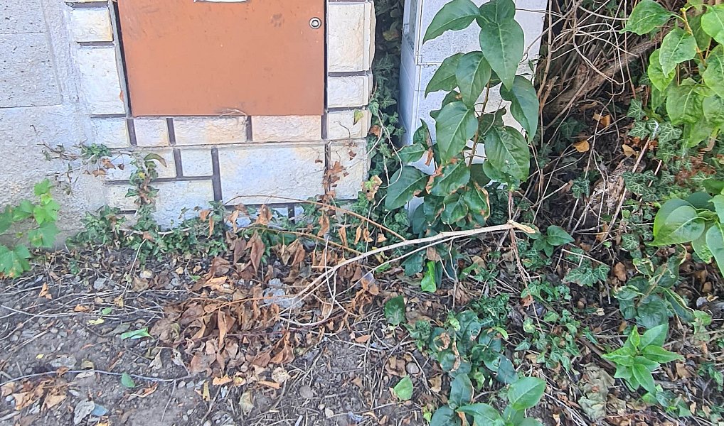 Prodej domu 53 m², Záboří nad Labem – náhled fotky 6