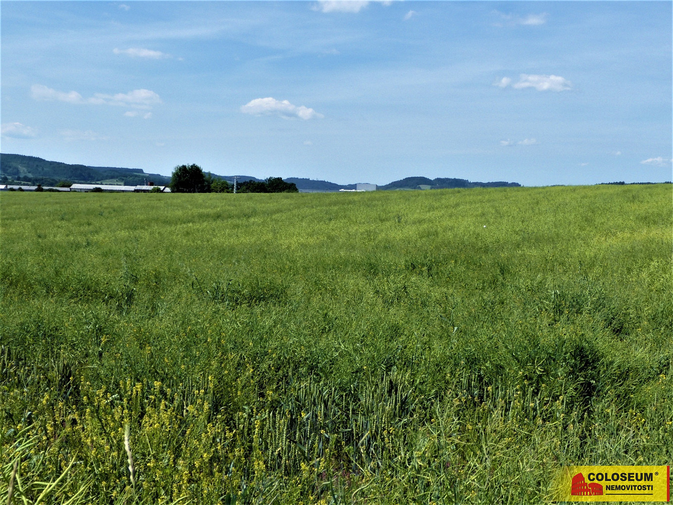 Prodej pole 7 225 m² – fotografie 3