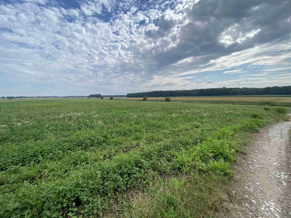Prodej pole 16 506 m²