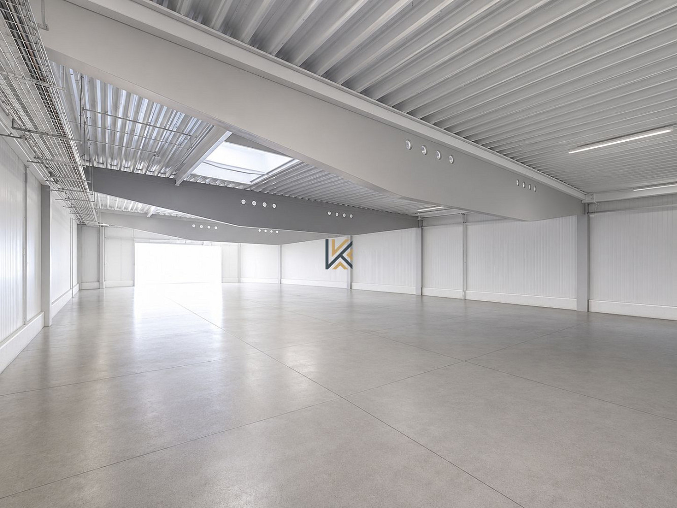 Pronájem obchodních prostor 554 m²