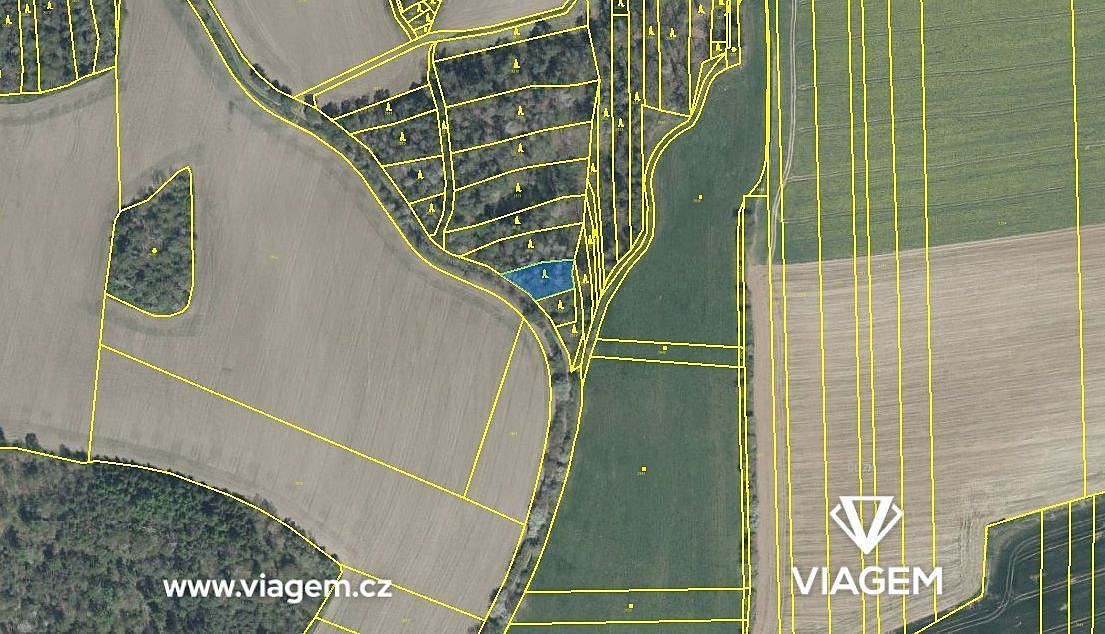 Les 6 930 m², Podíl 29 % o výměře 2 021 m² – pohled 5