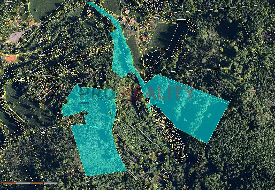 Prodej lesa 102 000 m² – fotografie 2