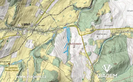 Prodej lesa 3 475 m², Liptaň, okres Bruntál