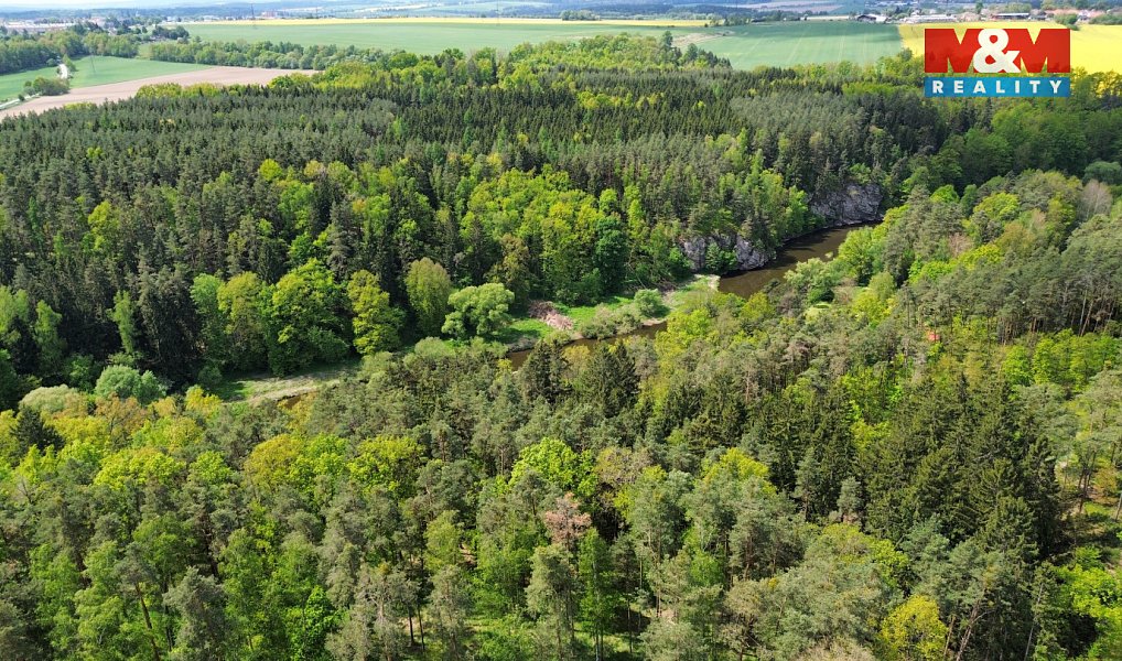 Prodej lesa 79 857 m², Černýšovice – náhled fotky 6