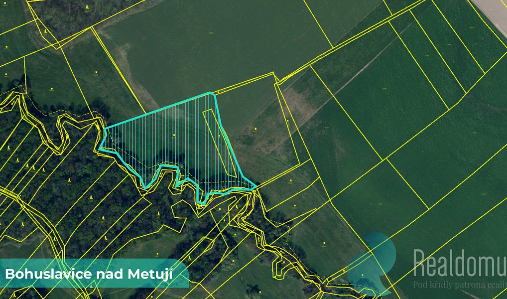 Prodej pole 43 749 m², Bohuslavice – náhled fotky 2