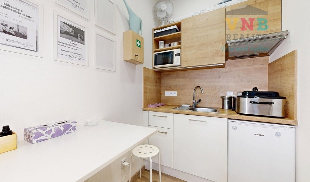 Prodej komerčního objektu (jiného typu) 205 m², Prostějov – náhled fotky 33