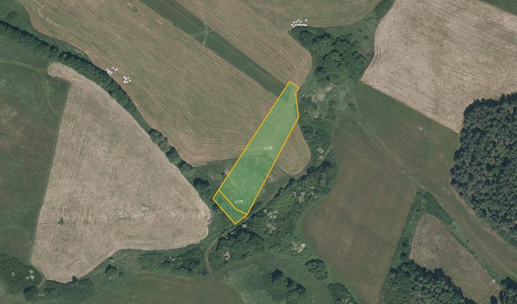 Prodej louky 13 638 m², Pačejov – náhled fotky 2