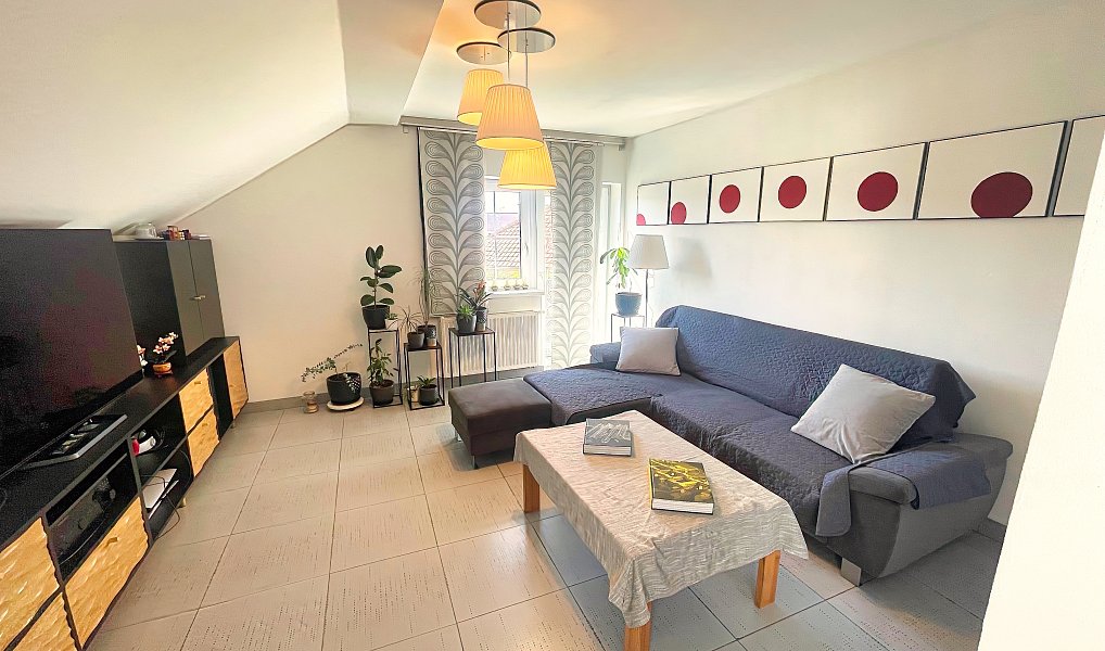 Prodej domu 217 m² s pozemkem 678 m², Srubec – náhled fotky 10