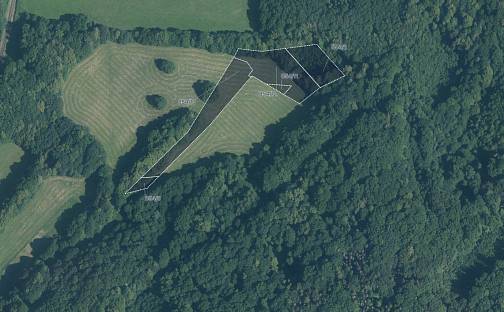 Prodej louky 9 985 m², Veřovice, okres Nový Jičín