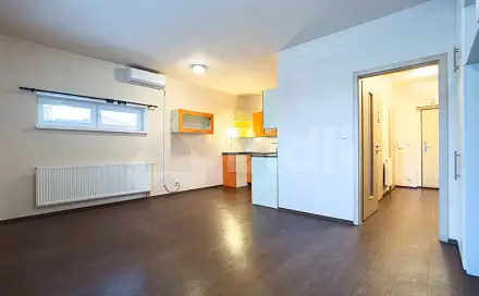 Pronájem bytu 1+kk 43 m²