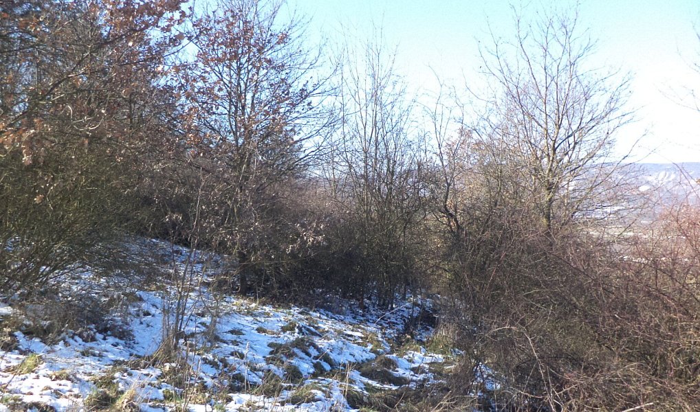 Prodej pole 18 942 m², Ústí nad Labem – náhled fotky 4